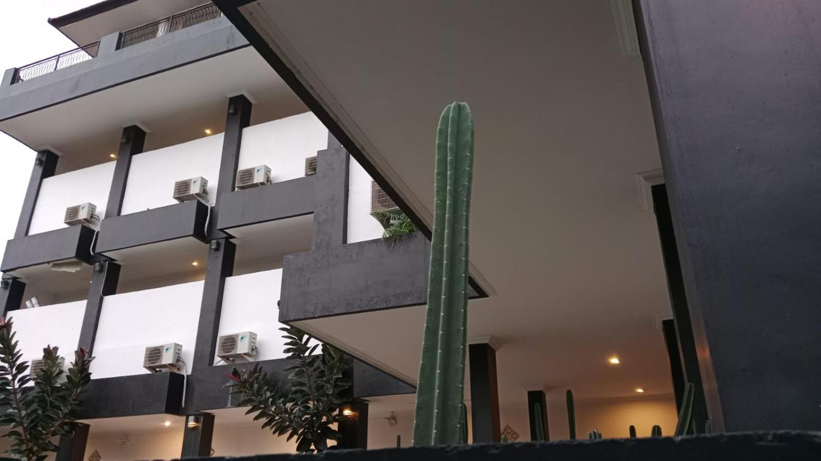 Nomad Hub Canggu Eksteriør billede